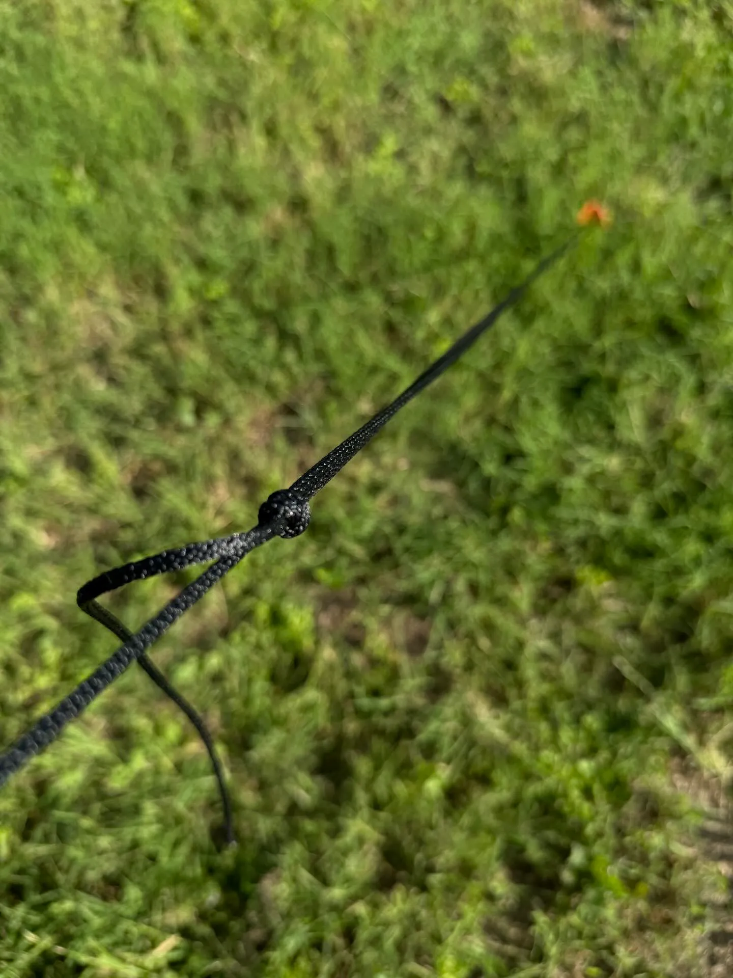 An Adjustable Grip Hitch knot (Crawley Hitch) tied around a guy wire for tensioning