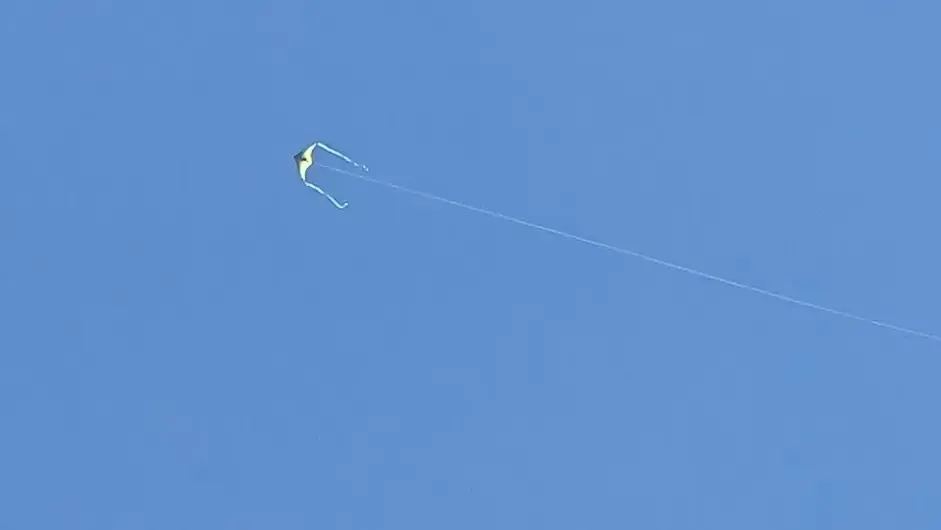 A kite flying in the air