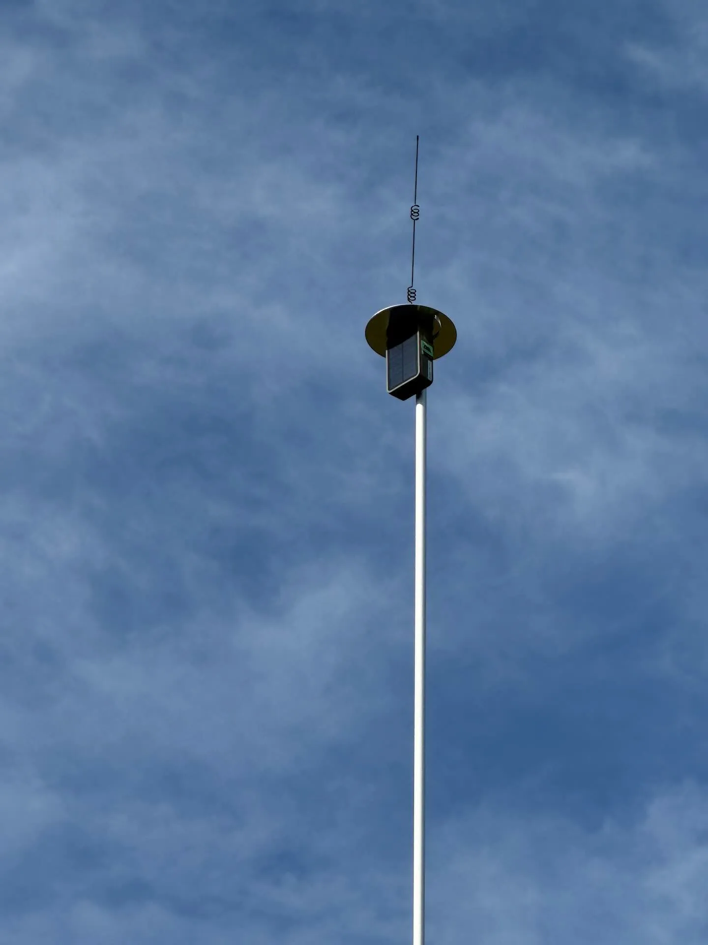 Mesh node mounted at the top of the painter's pole mast against the sky