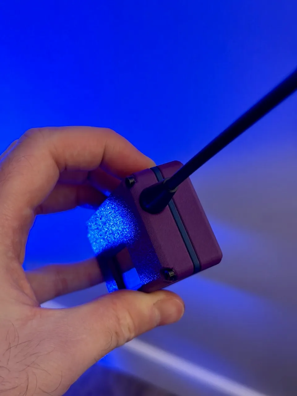 Purple case antenna top